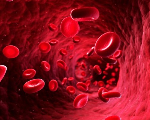 Advanced Regeneration & Cellular Support