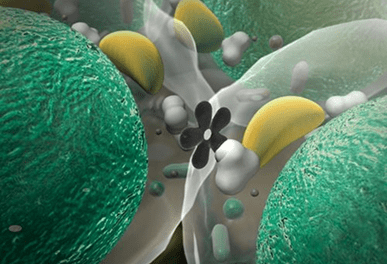 It wasn’t depression. It was hormones. And nobody thought to look there before!