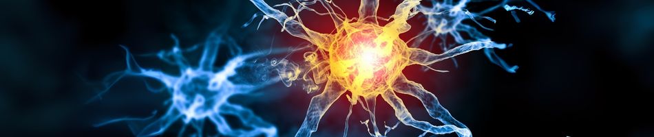 Hormonal Optimisation