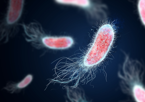 Mitochondrial Regeneration