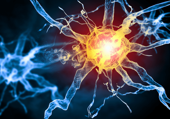 Senescent Cell Removal