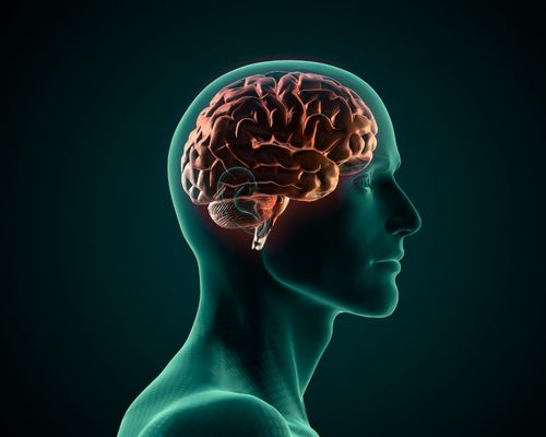 Healing the Brain. Supporting the Mind.