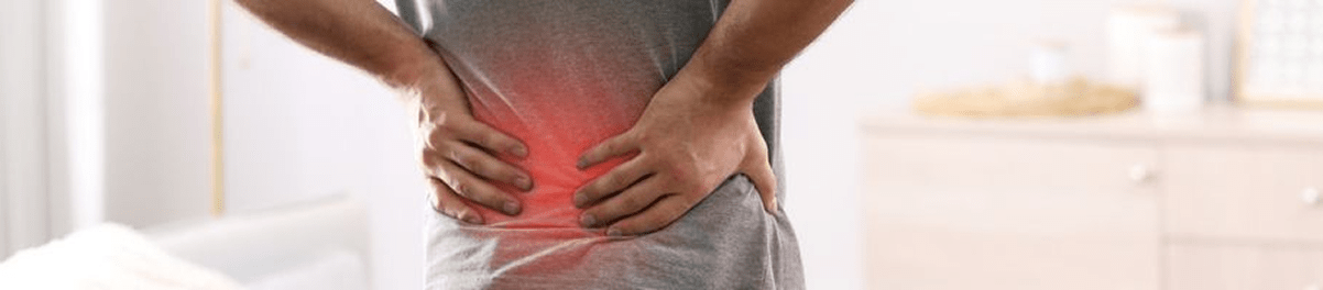 Chronic Disease <br />
Protocols