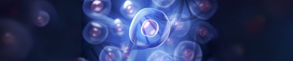 Stem Cell-Based Protocols